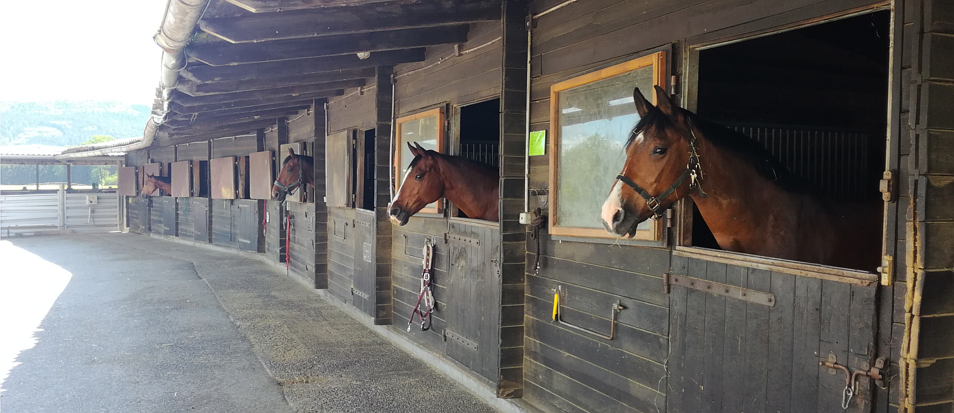 Reitanlage Reitanlage